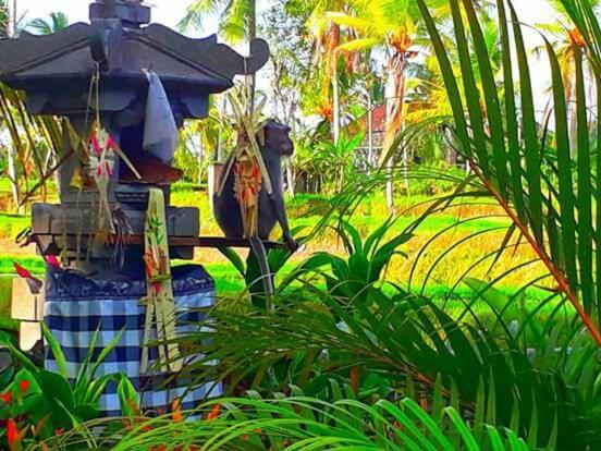 Amaya Cottage Ubud By Shm Exterior foto