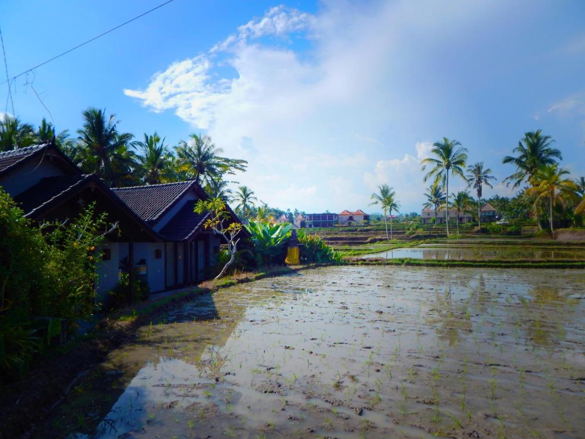 Amaya Cottage Ubud By Shm Exterior foto